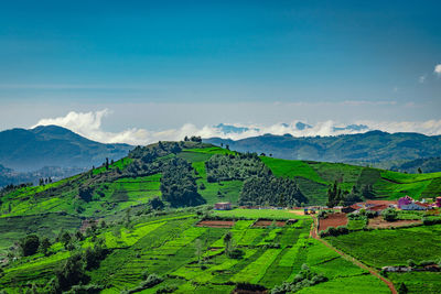 Green mountains with bright blue sky at morning