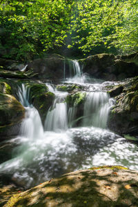 Scenic view of waterfall in forest