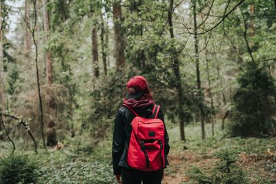 Rear view of woman standing amidst trees in forest