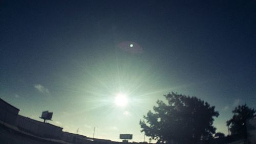 Low angle view of sun shining through trees