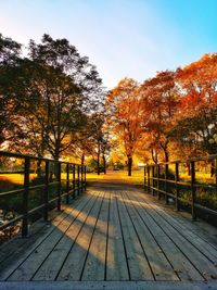 Trees by footpath against sky during autumn