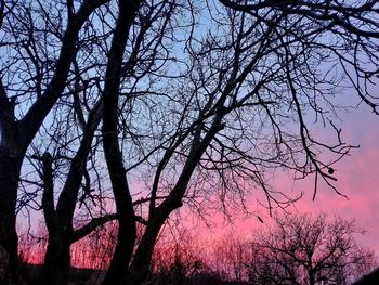 Low angle view of silhouette bare trees against sky
