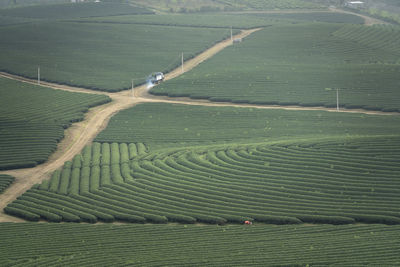 High angle view of agricultural field