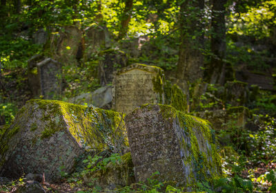 Old karaite cemetery at chufut-kale near bakhchisarai. crimea