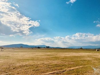 Scenic view of field against sky