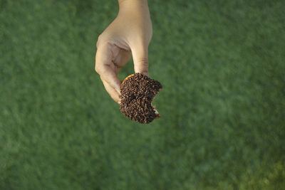 Close-up of hand holding donut against green field