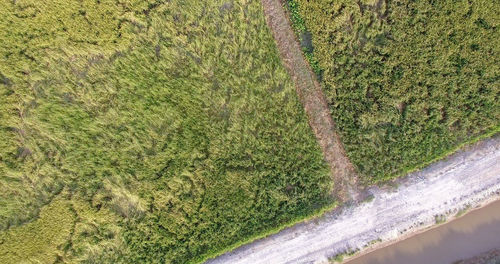 High angle view of water flowing on land