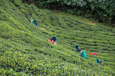 High angle view of people on field