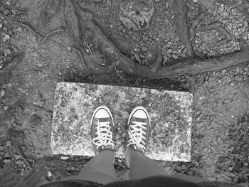 Low section of person standing on rock