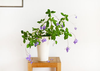 Potted plant on table