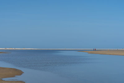 Walking the dog on the land winning and coast protection project, the zandmotor near kijkduin 