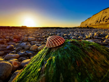 Close-up of pebbles on land against sky during sunset