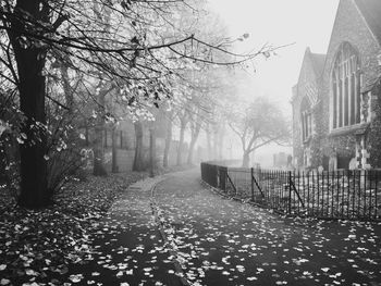 Footpath amidst trees during autumn