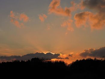 Low angle view of silhouette trees against sky during sunset