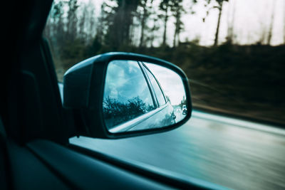 Reflection of trees on side-view mirror of car