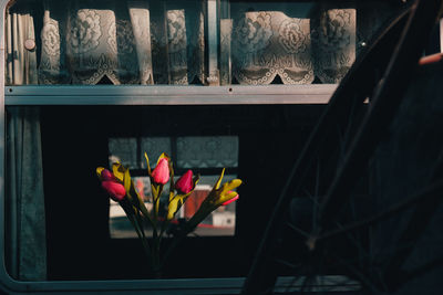 Close-up of tulips in vase against window