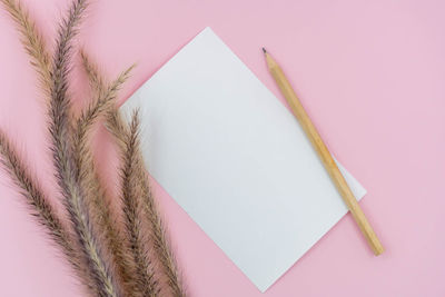 Directly above shot of pink pencils against white background