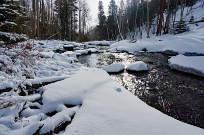 Frozen river stream amidst trees during winter