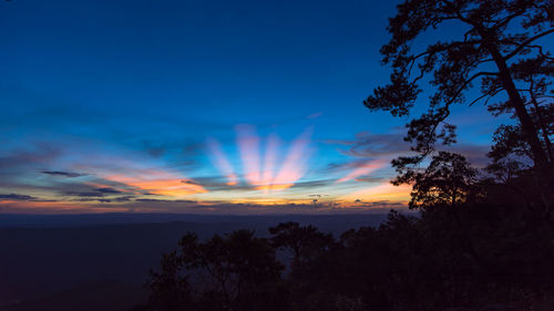 Scenic view of silhouette trees against sky during sunset