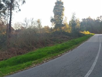 Empty road amidst trees against sky