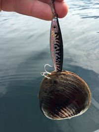 Close-up of hand holding fish in lake