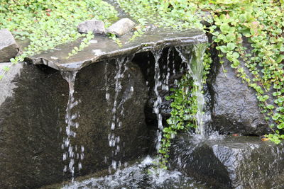 Scenic view of waterfall