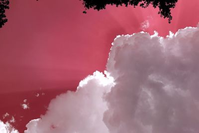 Low angle view of pink clouds in sky