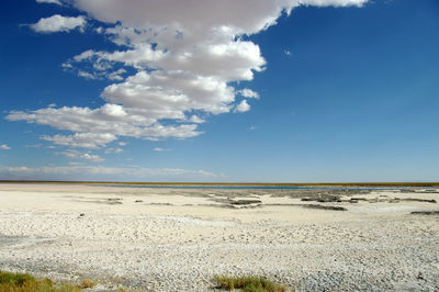 Scenic view of desert against sky