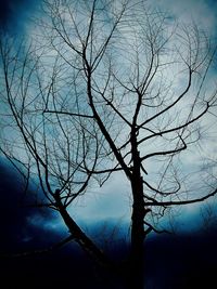 Silhouette of bare tree against sky at sunset