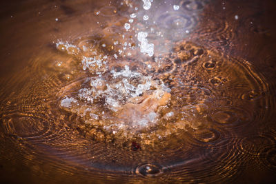 High angle view of bubbles in water