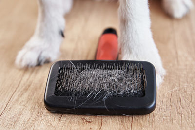 Pet brushing. dog paws and comb with hairs, close up