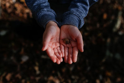 High angle view of hands holding nut