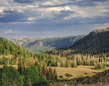 Scenic view of landscape against sky