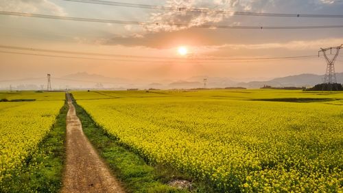 Scenic view of field against sky during sunset