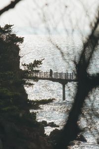 Bridge over river against trees