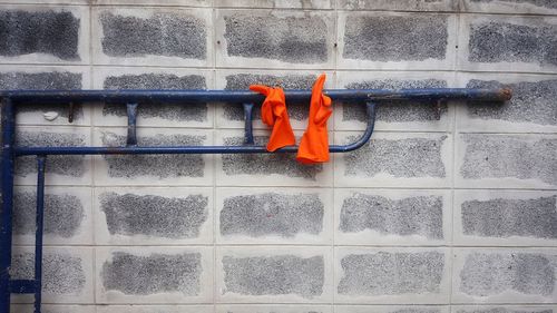 High angle view of orange on wall