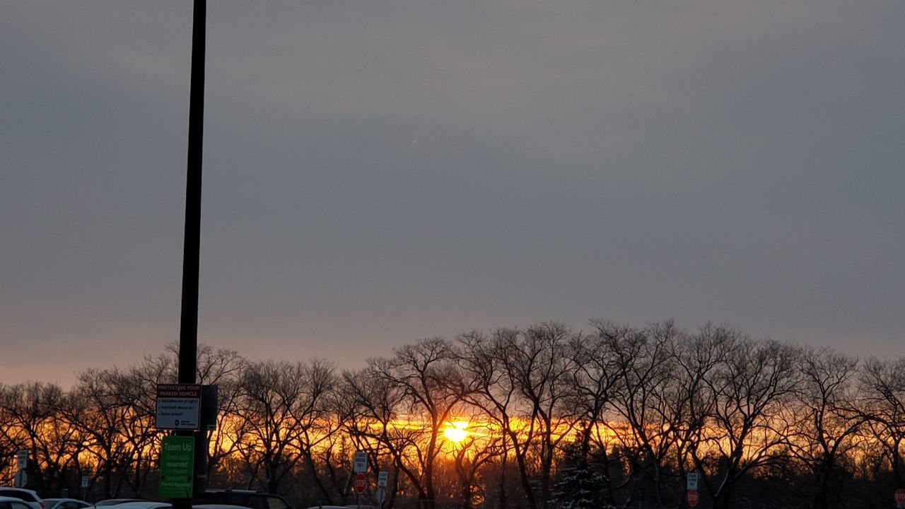 SILHOUETTE BARE TREES AGAINST SKY AT SUNSET