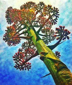 Low angle view of tree