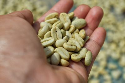 Close-up of hand holding pineapple