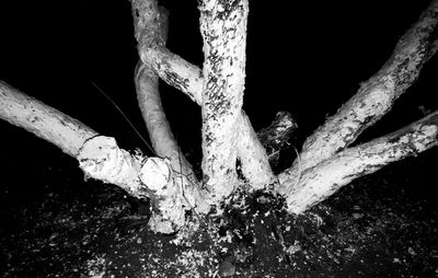 Close-up of hand against water