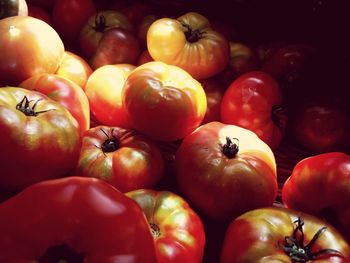 Full frame shot of tomatoes