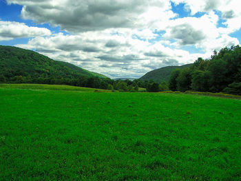 Scenic view of field against sky