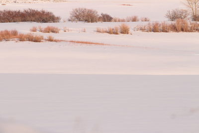 Snow covered landscape against sky