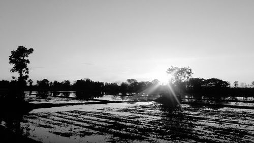 Silhouette trees on field against sky