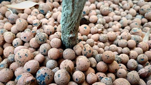 Full frame shot of drainage balls in flower pot