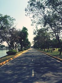 Empty road along trees