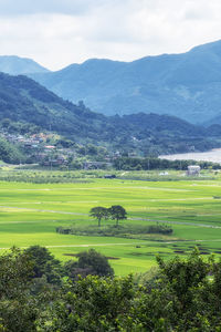 Scenic view of landscape against sky