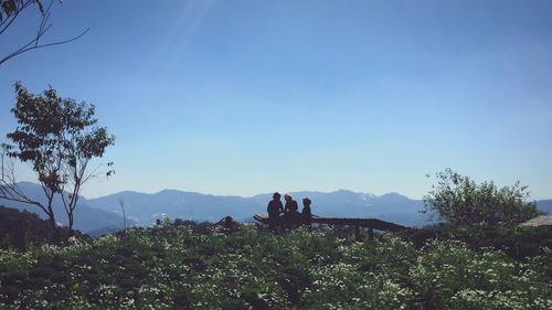 Scenic view of landscape against clear sky