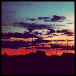 Silhouette of trees at sunset