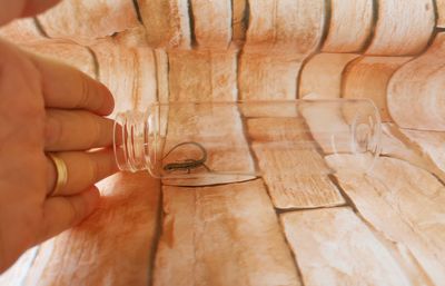 Close-up of human hand holding wood